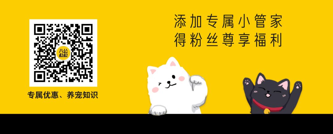 汪星人有哪些秘密,汪星人真实的秘密