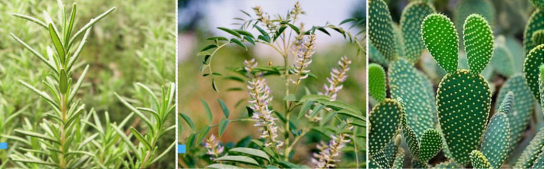 最好用的驱蚊好物,安全驱蚊效果好的驱蚊产品