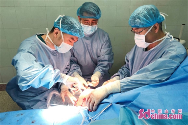 膝关节外侧副韧带重建用人工韧带,膝关节侧副韧带断裂修复术