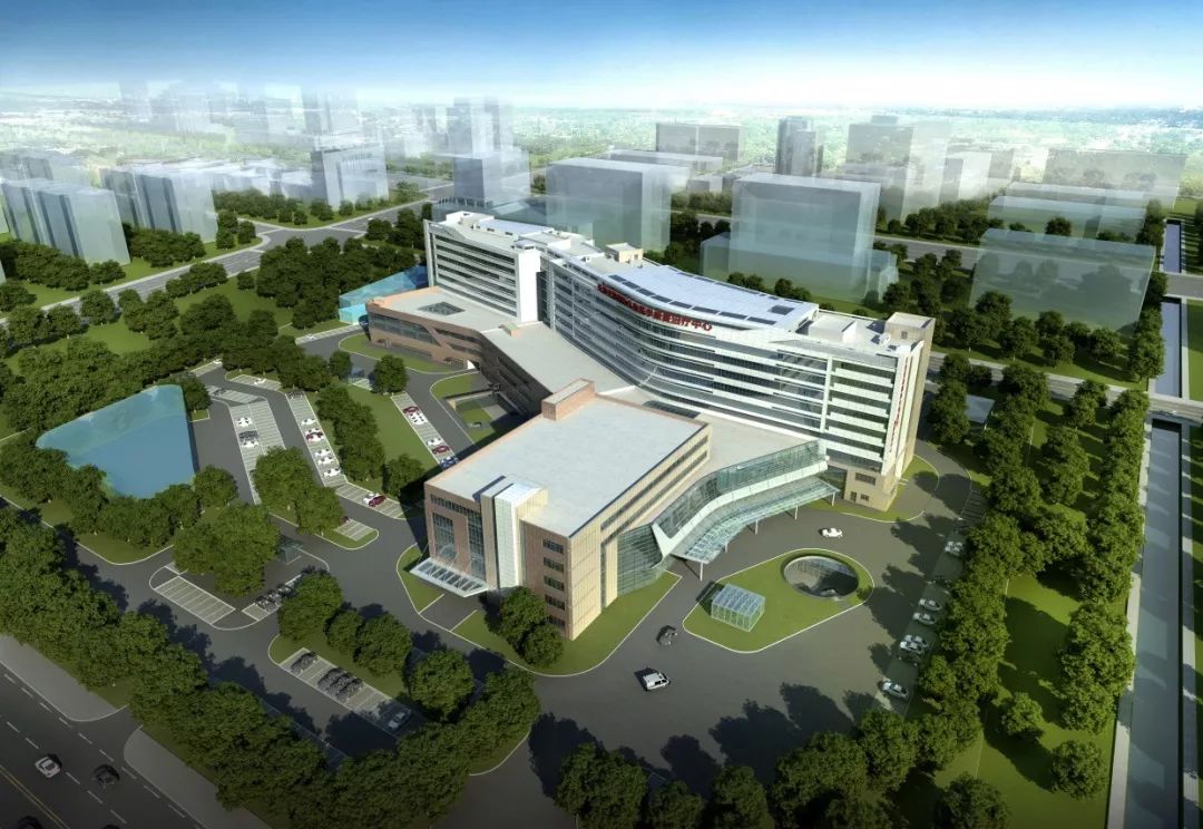 国际肿瘤治疗理念,设计新型肿瘤治疗方案