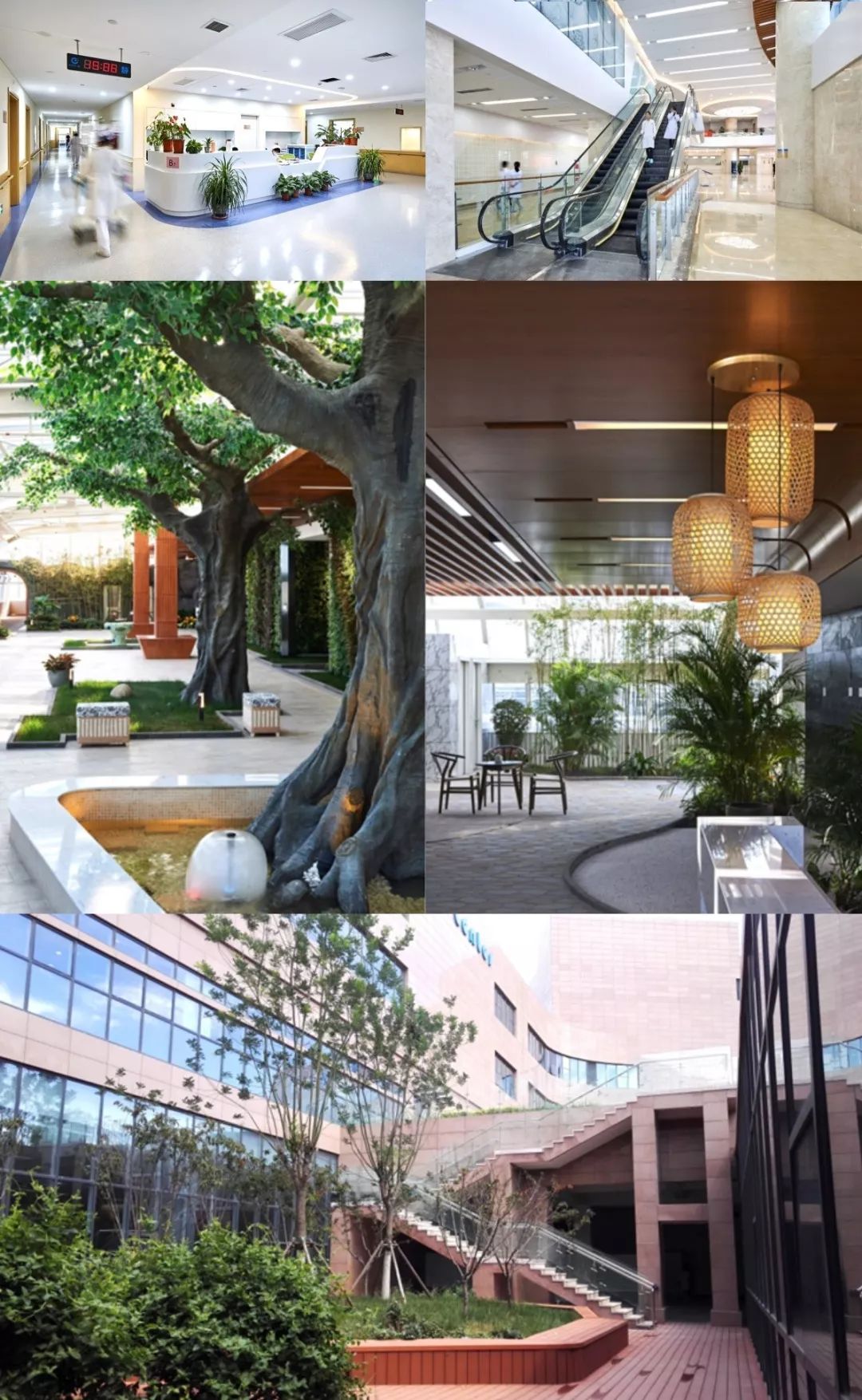 国际肿瘤治疗理念,设计新型肿瘤治疗方案