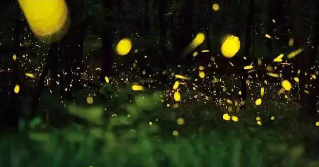 这个夏天必做的事,这个夏天必须要做的事情