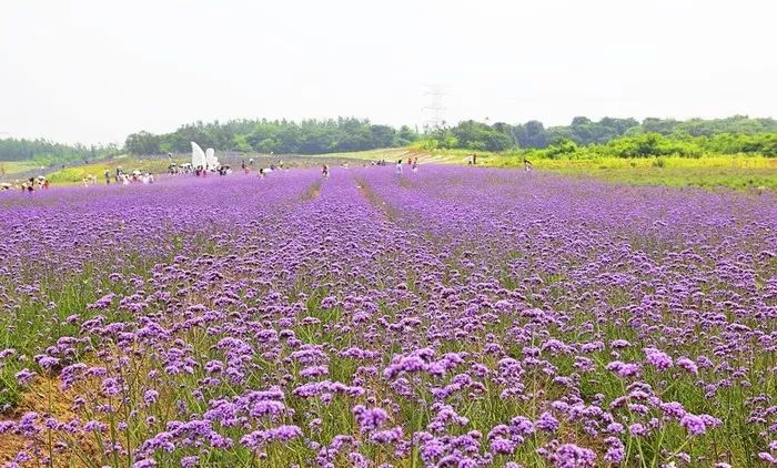这个夏天必做的事,这个夏天必须要做的事情