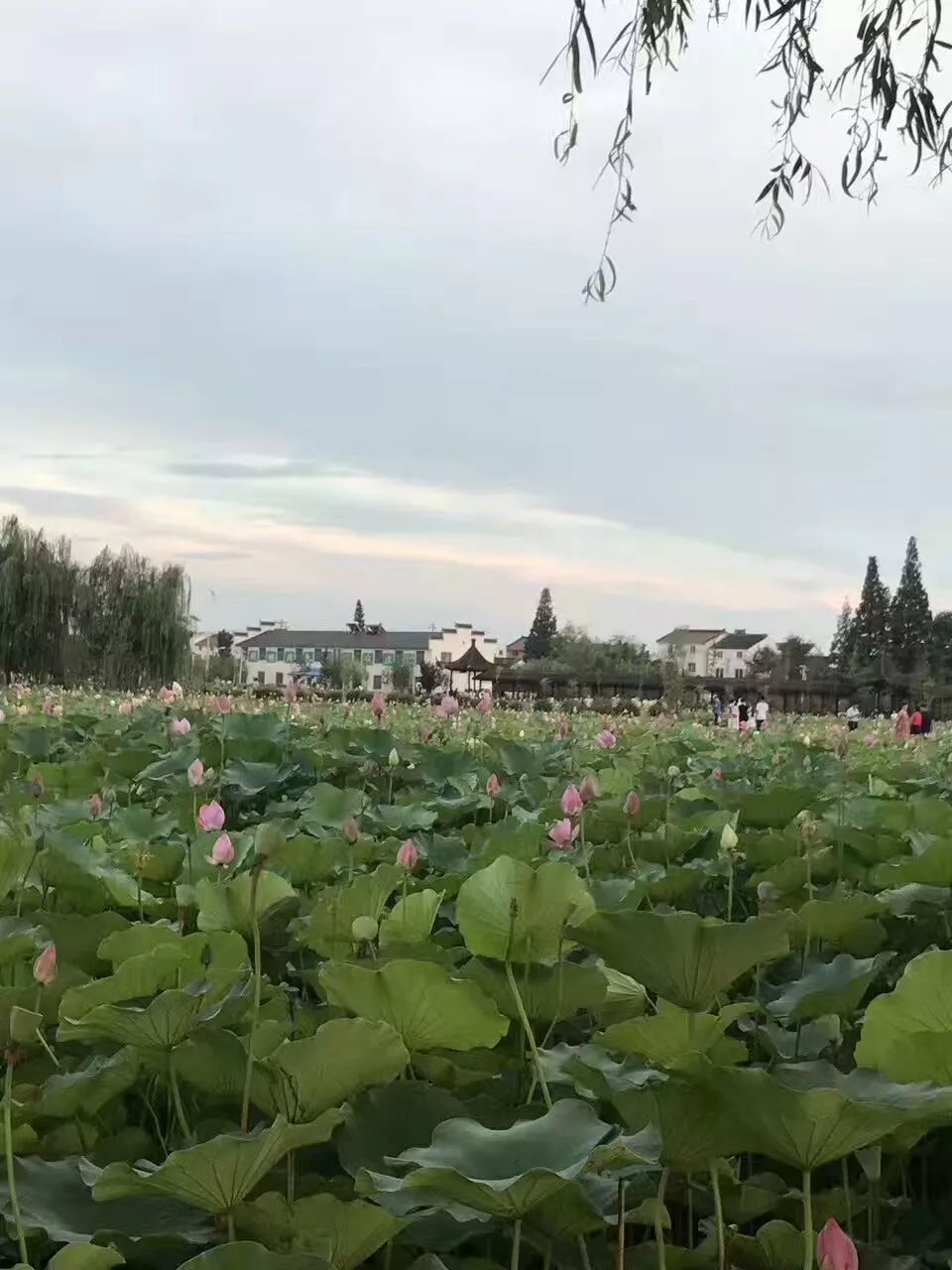 这个夏天必做的事,这个夏天必须要做的事情