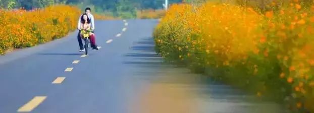 这个夏天必做的事,这个夏天必须要做的事情