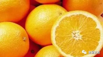 街道龙舟赛视频,龙舟嘉年华集市