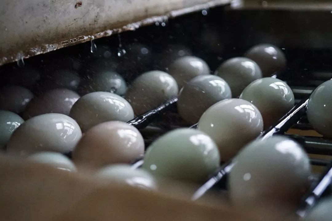 五月种草美食,五月种草的护肤品