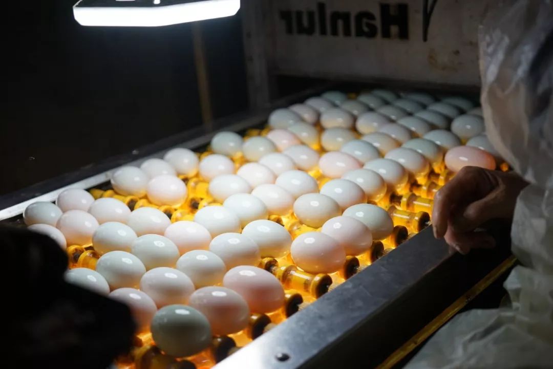 五月种草美食,五月种草的护肤品