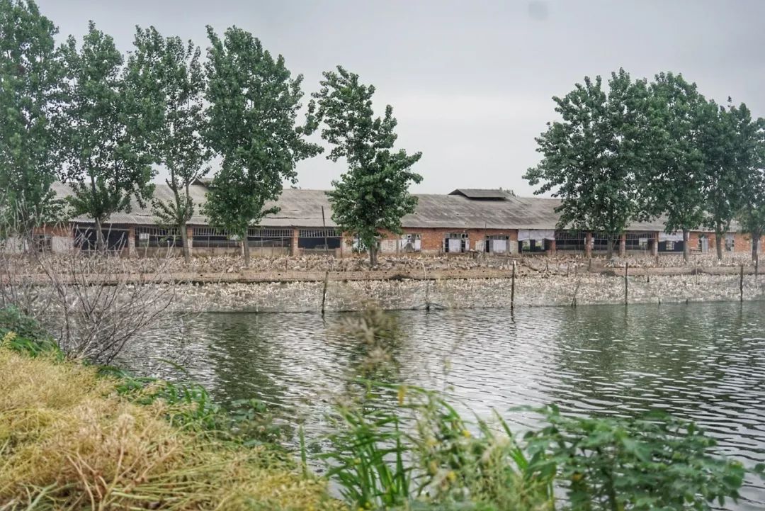 五月种草美食,五月种草的护肤品