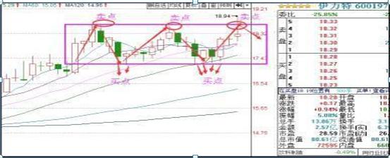一位亏损百万的股民自省,一位血亏百万老股民的感悟