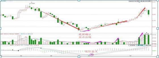 一位亏损百万的股民自省,一位血亏百万老股民的感悟