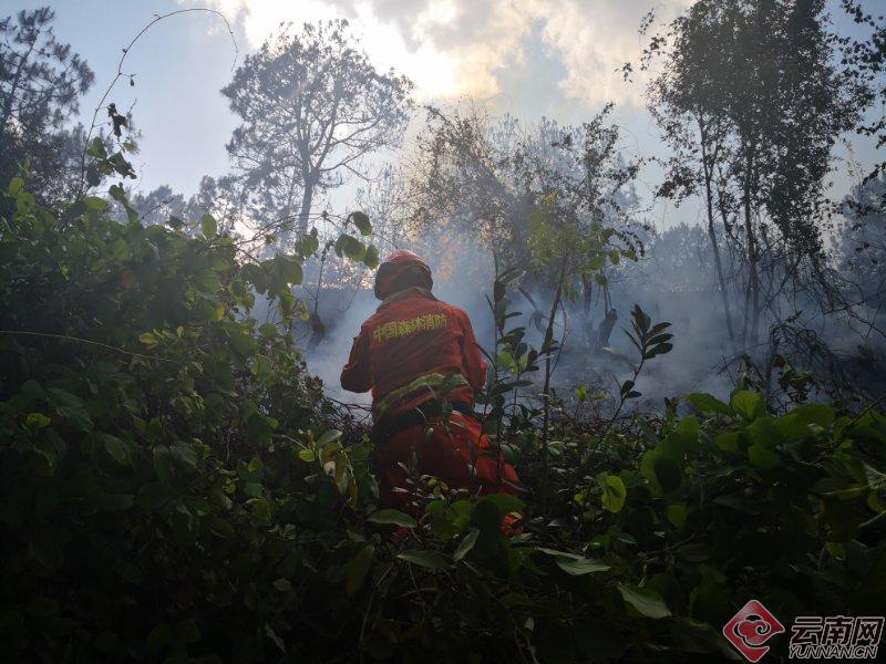 昆明官渡区森林消防支队,昆明森林消防灭火