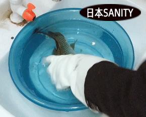 家用黑科技手套,强韧家务手套