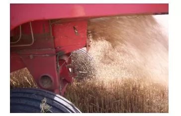 水稻小麦收割机自走式,小麦收割机维修教学