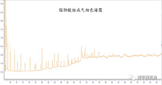 【每日一品】武都橄榄油，液体黄金的秘密都在这里了