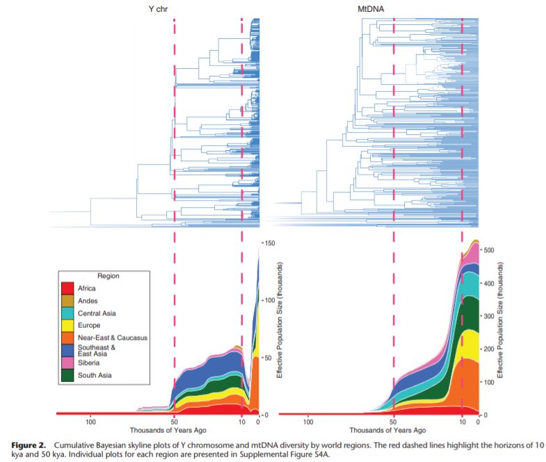 8亿男人都是11个帝王的后代？中国人到底是不是本土进化来的？答案令人惊诧！
