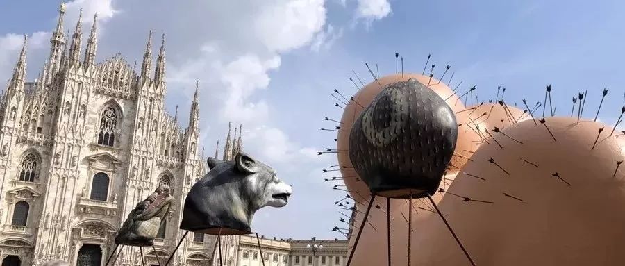 货车防水迷彩布专用塑料布,卡车防水胶篷布