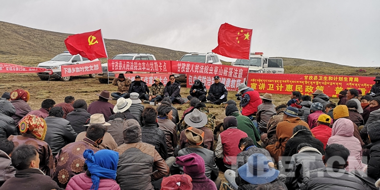 甘孜虫草采挖到几月,甘孜理塘虫草采挖