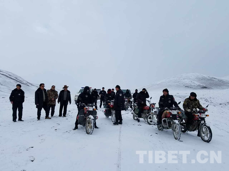 甘孜虫草采挖到几月,甘孜理塘虫草采挖