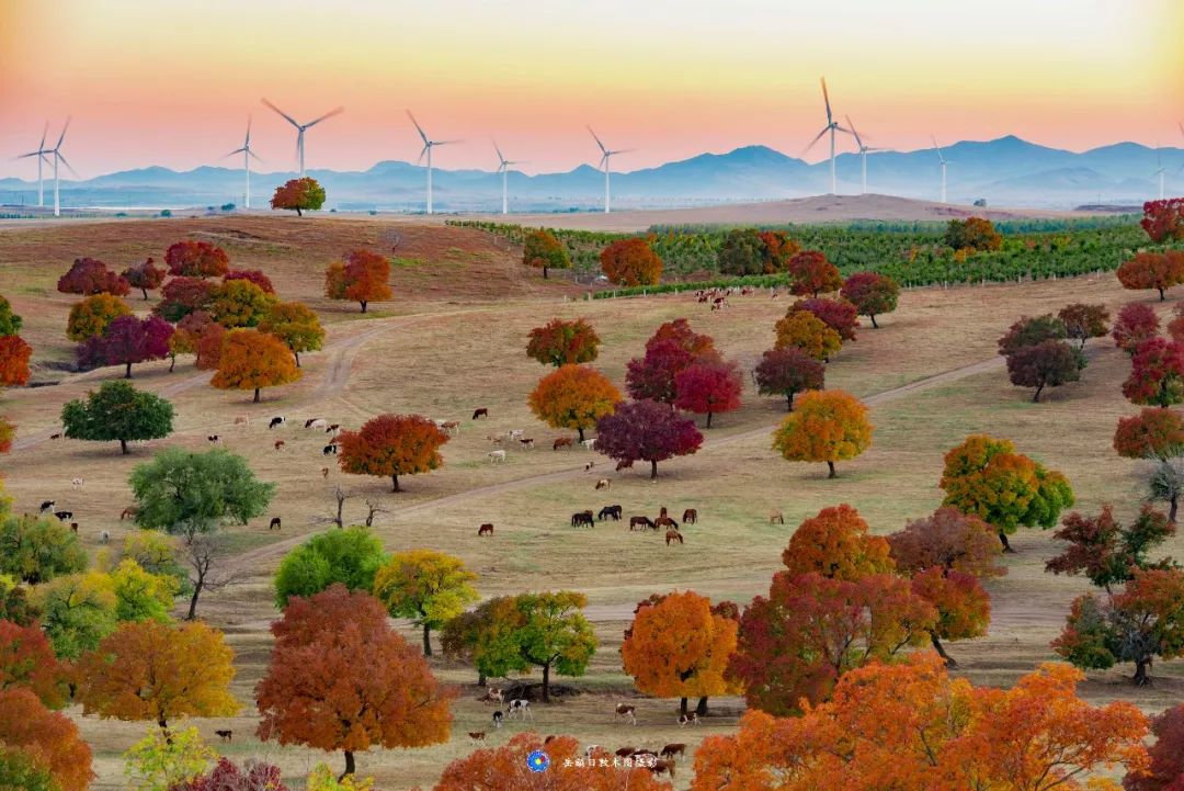 岳额日敦木图：这是美丽家乡科右中旗