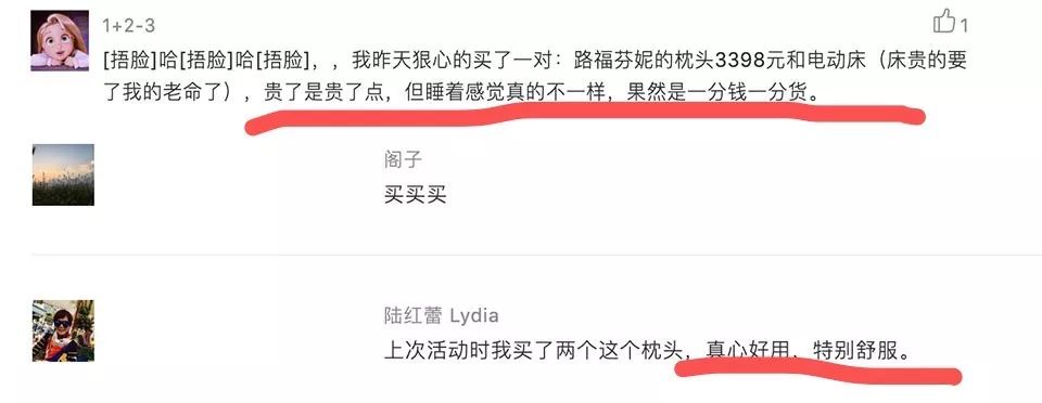 丹麦皇家乳胶枕头,丹麦珊瑚绒枕头