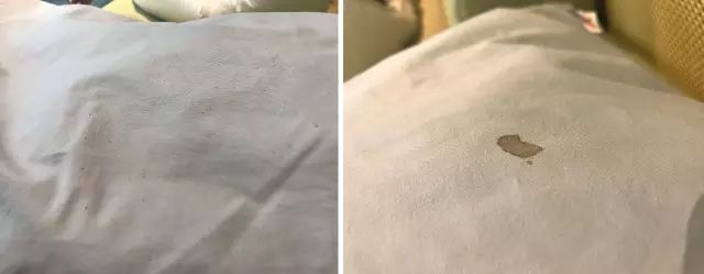 丹麦皇家乳胶枕头,丹麦珊瑚绒枕头