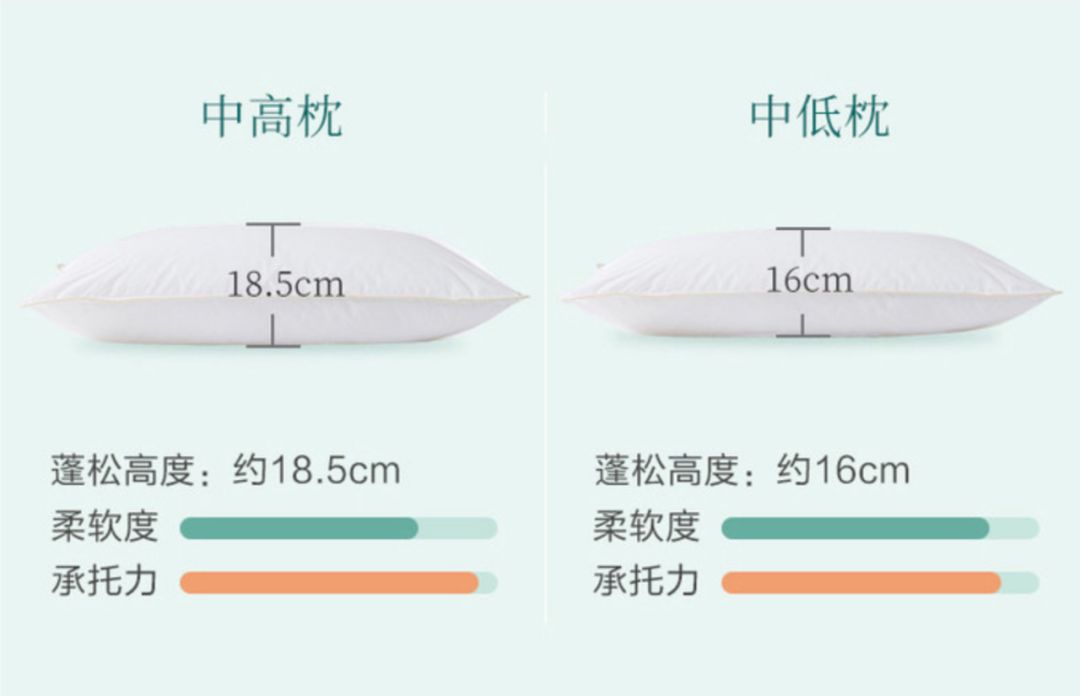 丹麦皇家乳胶枕头,丹麦珊瑚绒枕头