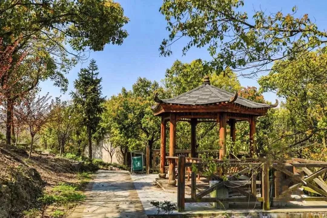 市区出发1h藏着一个“绿岛”？赛车、帆船、直升机…梅山原来如此洋气！