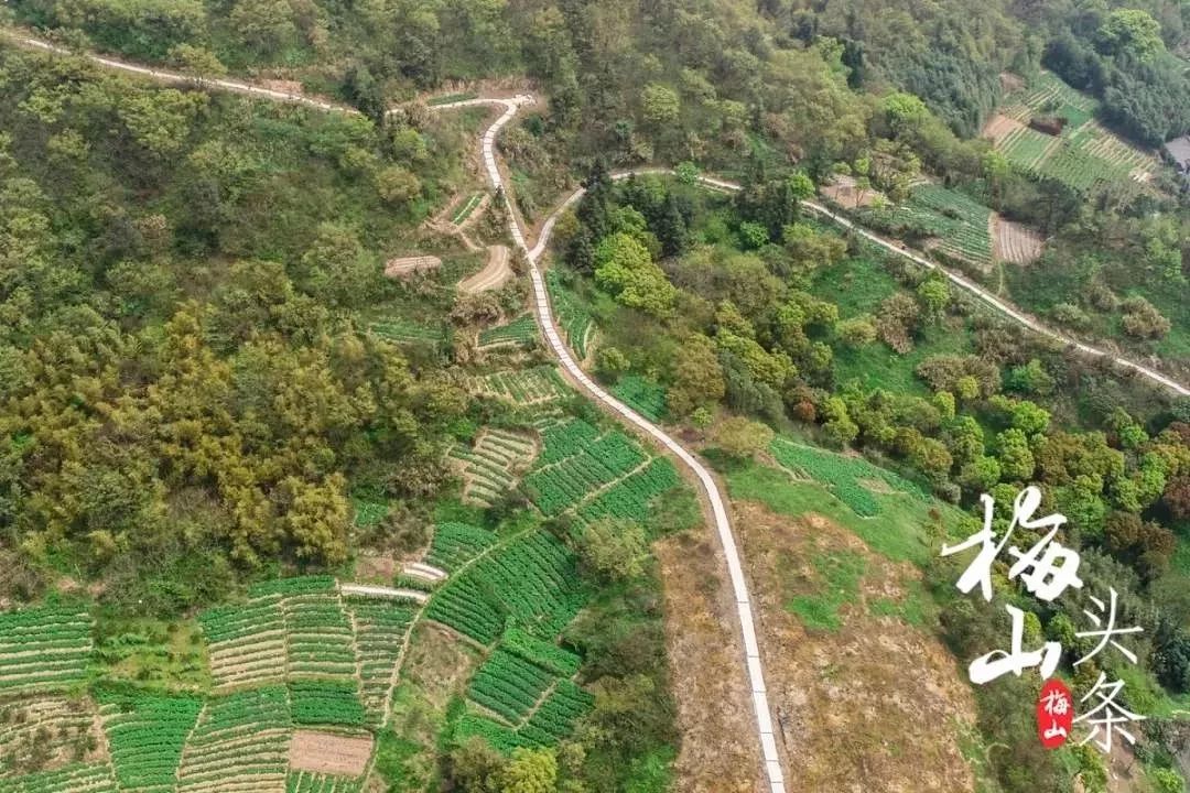 市区出发1h藏着一个“绿岛”？赛车、帆船、直升机…梅山原来如此洋气！