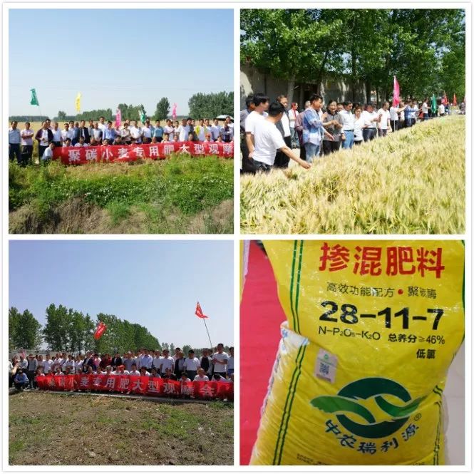 聚碳酶,聚碳补酶丰产方案