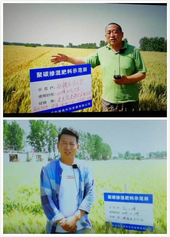 聚碳酶,聚碳补酶丰产方案