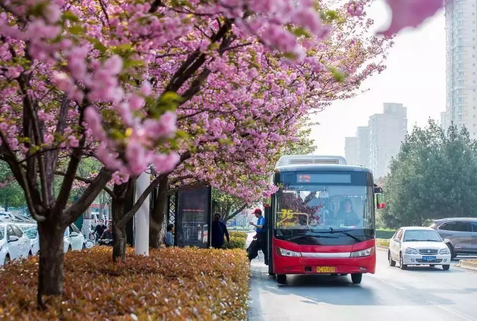 洛阳市v12路公交车路线,洛阳公交v17路优化后线路