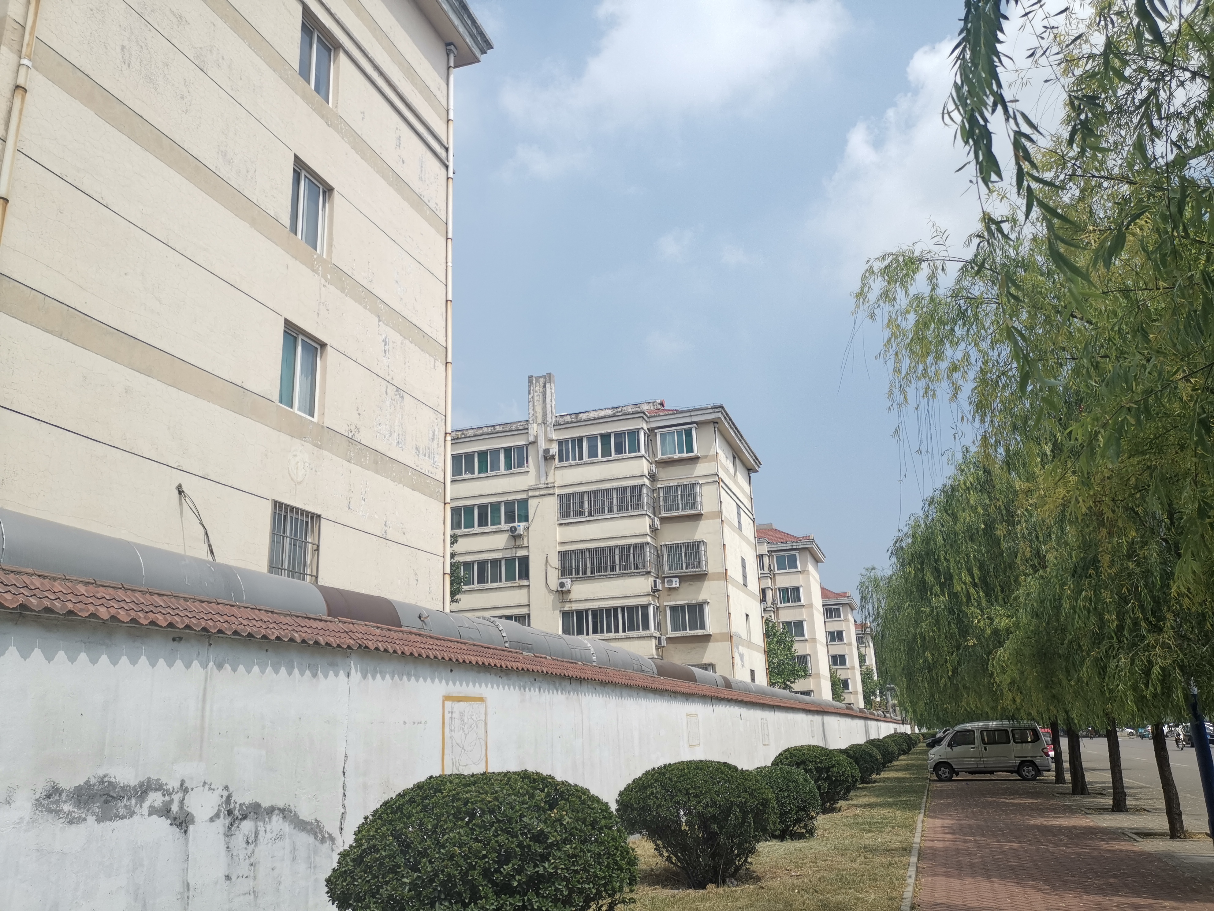 魏桥集团发展史,魏桥集团目前的状况