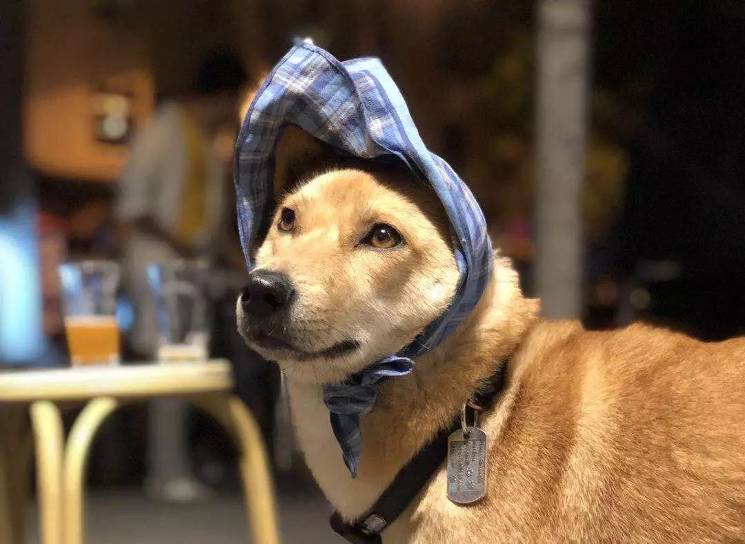 手动捂脸.JPEG:这是直男推荐的女生产品种草文