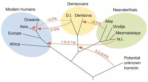 8亿男人都是11个帝王的后代?中国人到底是不是本土进化来的?答案令人惊诧!