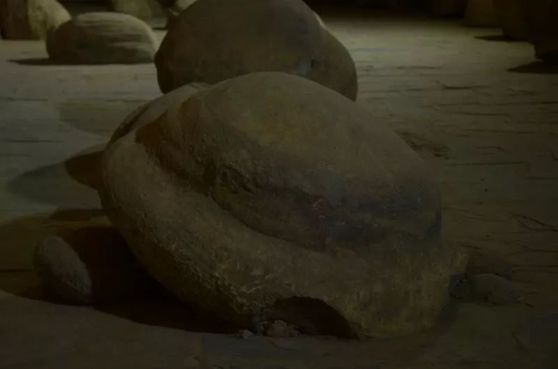 神奇！台骀山的四个博物馆带你穿越回上亿年前