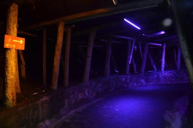 神奇！台骀山的四个博物馆带你穿越回上亿年前