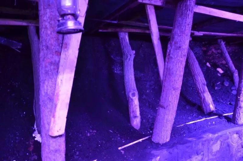 神奇！台骀山的四个博物馆带你穿越回上亿年前