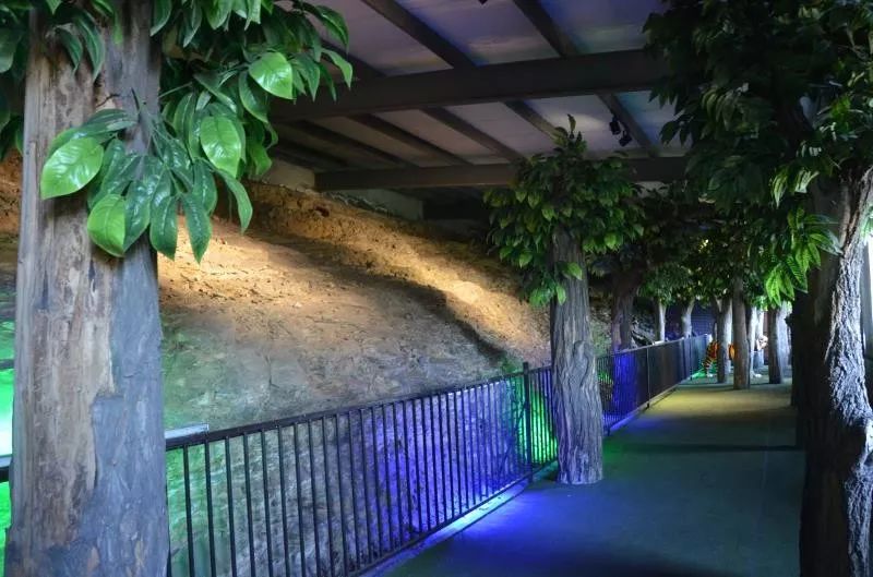 神奇！台骀山的四个博物馆带你穿越回上亿年前