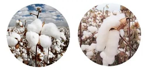 婴幼儿可用夏凉被,0甲醛,裸睡盖它更放心