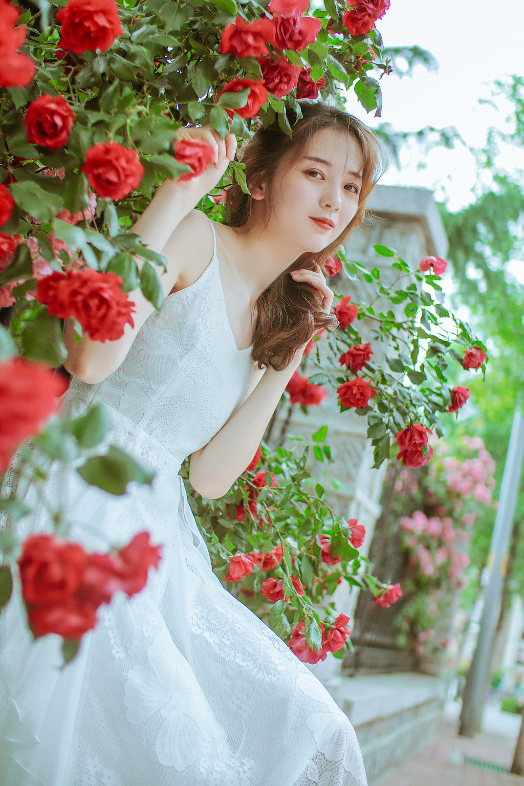 尼康佳能宾得全幅相机比拼,尼康索尼佳能50mm1.2镜头对比