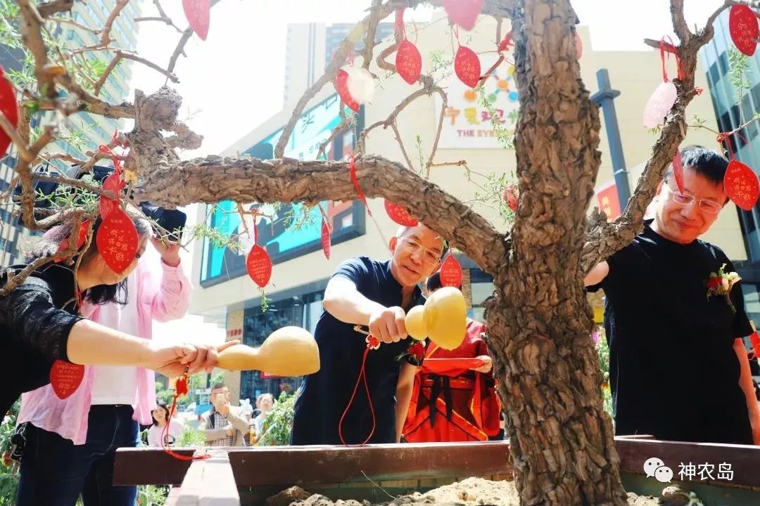 百瑞源枸杞产品分析,百瑞源养生枸杞加盟