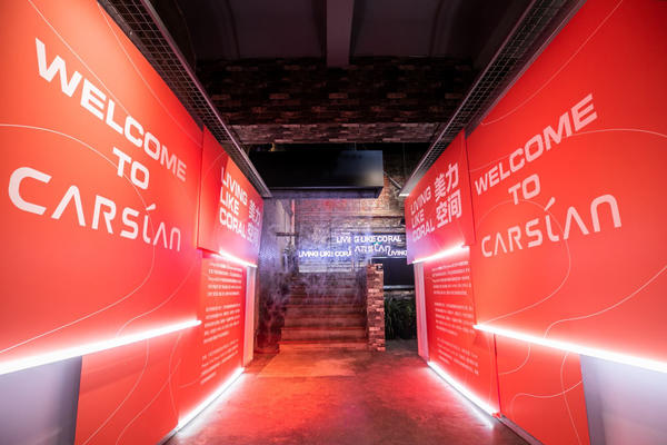 卡姿兰红唇唇膏,卡姿兰胶原美芯唇膏烈火燃红