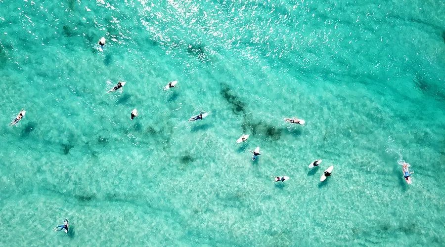 渔家女揭露海鲜市场黑幕,渔家女直播回放
