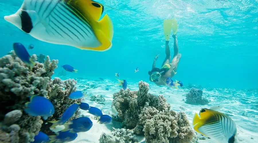 渔家女揭露海鲜市场黑幕,渔家女直播回放