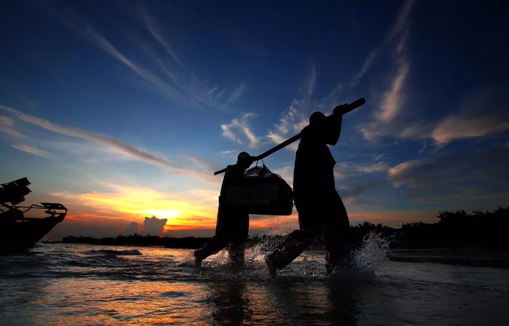 渔家女揭露海鲜市场黑幕,渔家女直播回放
