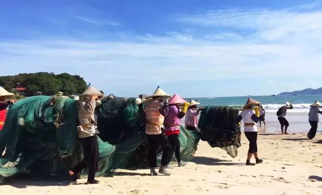 渔家女揭露海鲜市场黑幕,渔家女直播回放