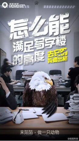 看,那些老人又在研究我们了