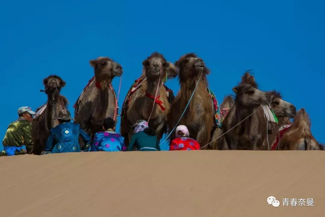 【情定金沙】2019宝古图沙漠民族集体婚礼与您相约，快来报名吧！！！