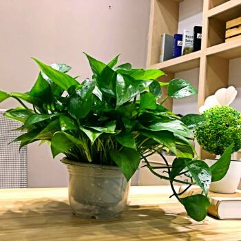 夏天这个空调小技巧你必须学会,夏天空调的正确使用方法家用